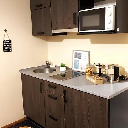 Laine Apartment *