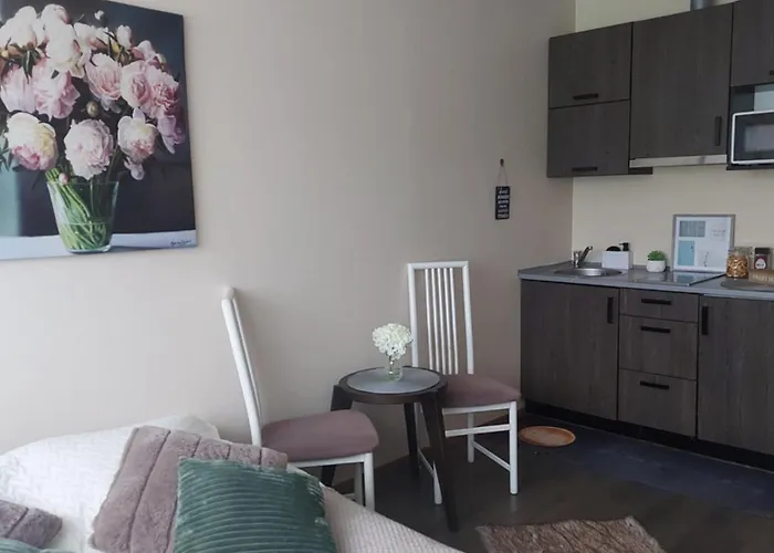 Laine Apartament Parnawa